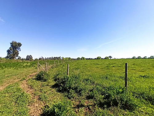 Terreno Agrícola De 6,8 Ha En Venta En San Clemente