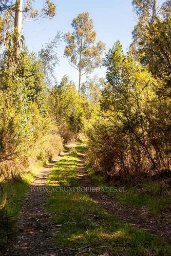 Parcela De 6mil M2 En Minte - Puerto Varas