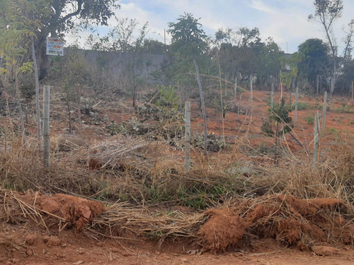 Imagem 3 de 10 de Lote Em Caetanópolis
