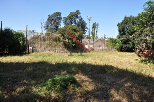 Imagem 10 de 16 de Terreno Para Empreendimento - 145028-v