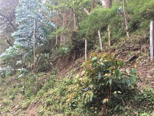 Vendo O Permuto Finca En Junin Cundinamarca