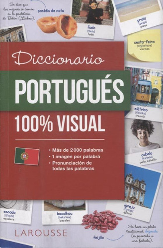 Diccionario Portugues 100% Visual - Varios Autores