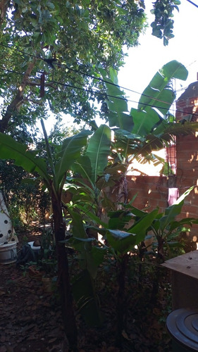 Casa Com 1 Quarto,cozinha Americana,1 Banheiro E Corredor