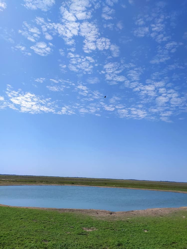 Imagen 12 de 15 de Hato En Venta En Elorza, Apure