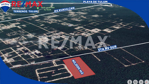 En Venta 4 Hectareas Juntas En Region 12 Sobre La 5ta Av De Tulum