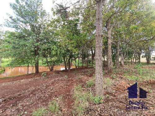 Imagem 9 de 16 de Rural Chacara - 775286-v