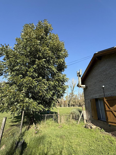 Altos De Robles-residencial-terreno10.000m2- 3 Casas(1 De 20años Antig. Y 2 A Reciclar)