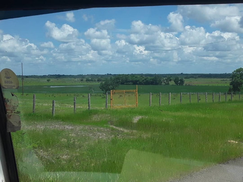 Imagen 8 de 14 de Finca En Venta - El Manteco, Estado Bolivar Fl