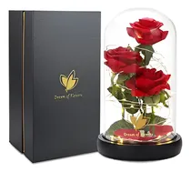 Comprar Rosa Iluminada En Cupula De Cristal,y Petalos Que Caen