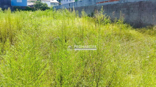 Imagem 4 de 5 de Terreno De 900m² À Venda No Jardim Santa Helena - Te1133