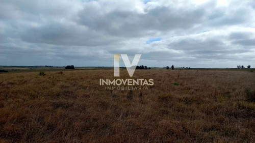 Campo En Jose Ignacio En Venta