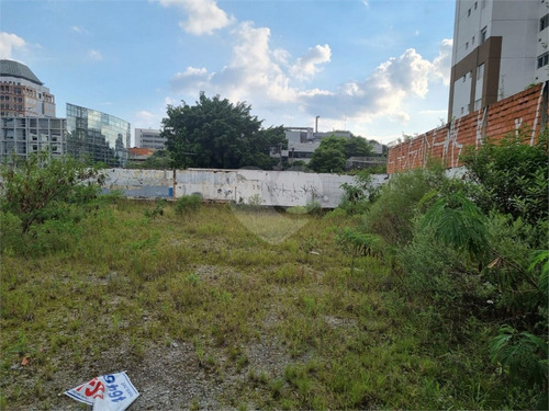 Imagem 12 de 15 de Terreno Chacara Santo Antonio - Reo651595