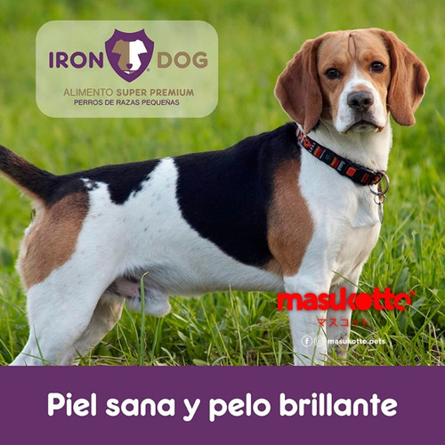 Imagen 8 de 9 de 3 Paquetes Iron Dog Razas Pequeñas Adulto 1kg. C/u