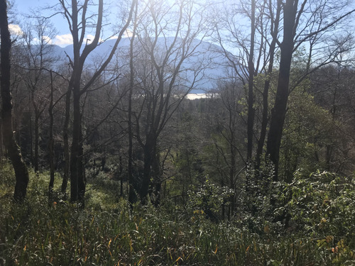 Ug Rebajado Sitio Venta Condominio Lago Colico
