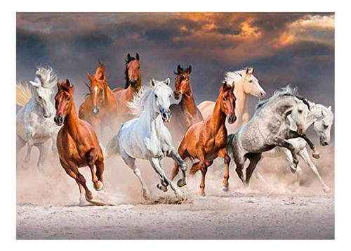 Puzzle Jumbo 1000 Piezas Desert Horses