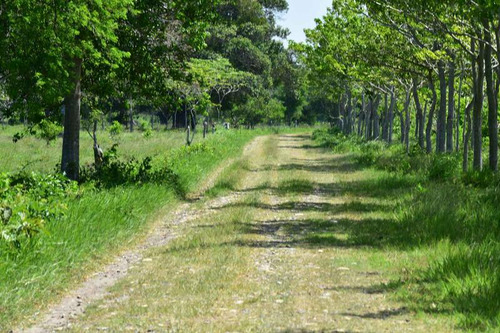 Venta Rancho Ganadero 1229 Hectáreas Tuxpan Veracruz.