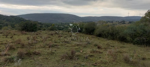 Campo En Carape Son 42 Hs 2293 M2