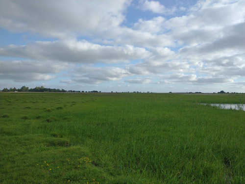 Campo Mixto En Chascomús - Permuta En La Plata