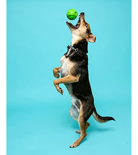 Hartz Duraplay Ball Squeaky Latex Dog Toy, Medium, 3 Pack