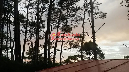 Imagen 3 de 14 de Casa En Venta De 4 Dormitorios En Punta Ballena