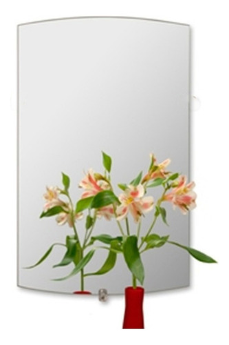 Combo Vanitory Moderno Wengue Con Espejo Pampa Refleja