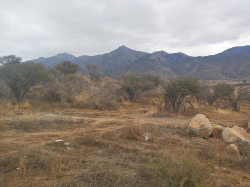 Hermosa Parcela 20.000 M2 En Alhue Curacavi 