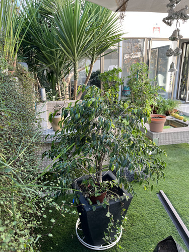 Hermosa Casa En Buin Con Acceso Ruta 5