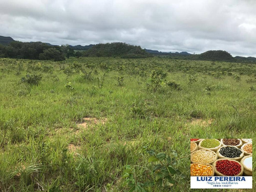 Imagem 3 de 15 de Fazenda À Venda Em Recursolândia - Ms - De 1.041 Alqueirões - 1648