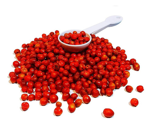 100 Semillas De Chile Chiltepin Bolita 