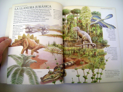 Dinoclub Larousse Stegosaurus Dinosaurios Para Niños Boedo (Usado)