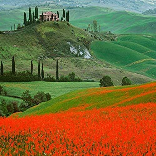 Pddeu16bjy0521 Europa Italia Toscana The Belvedere Vill...