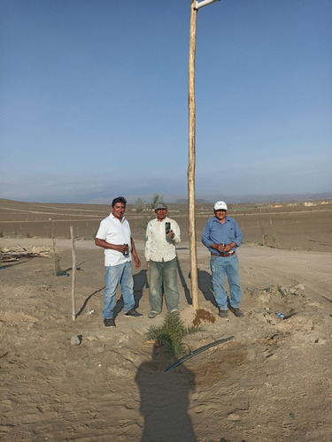 Imagen 13 de 19 de Lotes Económicos Buen Lugar