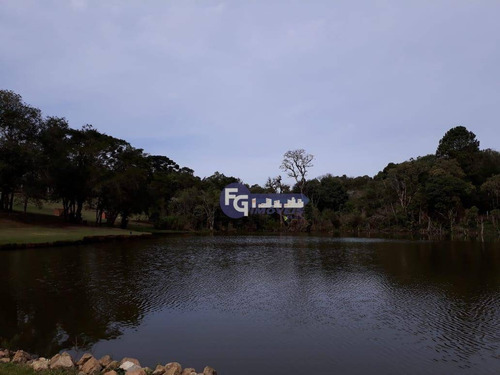 Imagem 22 de 25 de Chácara Com 2 Dormitórios À Venda, 5400 M² Por R$ 319.000,00 - Campestre Da Faxina - São José Dos Pinhais/pr - Ch0013