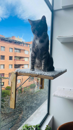 Hamaca De Ventana Para Gatos Abatible