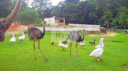 Imagem 16 de 17 de Chácara Com 23 Dorms, Araçoiabinha, Araçoiaba Da Serra - R$ 980 Mil, Cod: 13941 - V13941