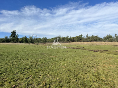 Terreno Construccion En Venta En Colbún