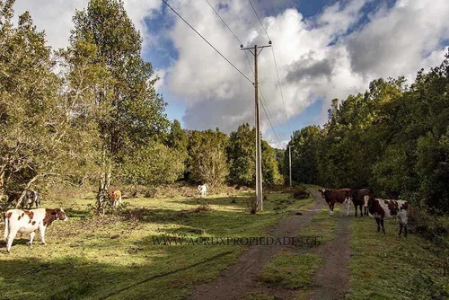Imagen 6 de 24 de Loteo Con Orilla De Rio En Puerto Varas