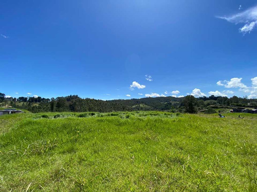 Lote En Venta El Retiro Antioquia Parcelación 99