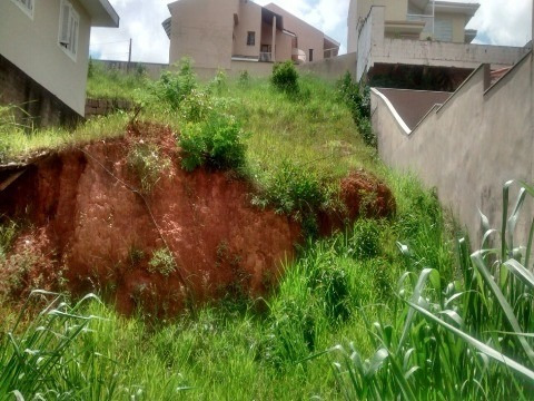 Imagem 6 de 8 de Terreno - Te00737 - 32149459