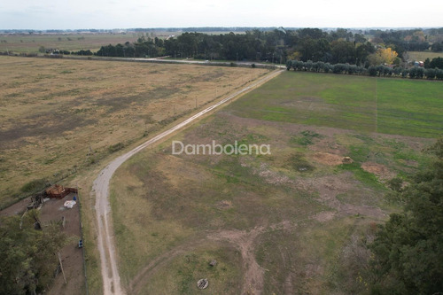 Imagen 19 de 28 de Terreno En Venta O Permuta Ubicado En General Rodríguez, General Rodríguez