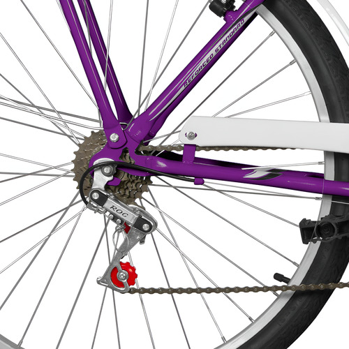 Bicicleta Aro 26 Com Cesto Summer Bicolor Com 6 Marchas + Nf