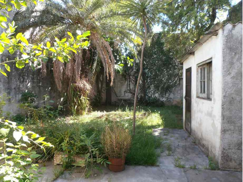 Imagen 4 de 16 de Local En Venta En Caseros