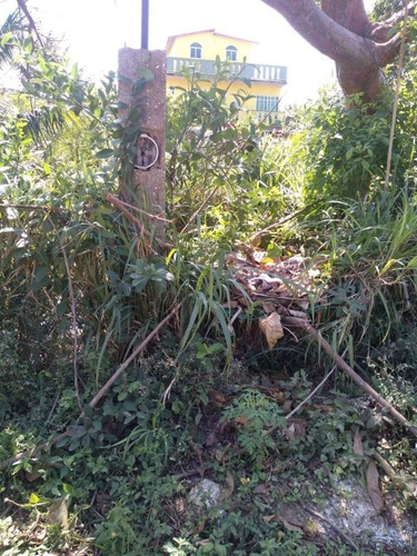 Imagen 6 de 10 de Se Vende Terreno Bien Ubicado En La Col Teresa Morales
