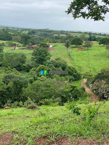 Imagem 8 de 15 de Fazenda - Zona Rural - Ref: 5534 - V-mta5534