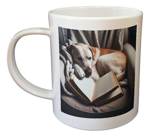 Taza Plastico Perro Acurrucado En El Sillon Leyendo