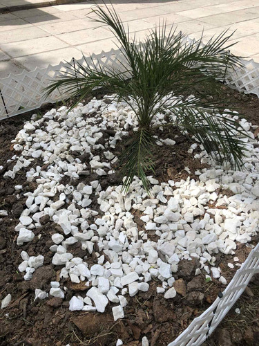Imagen 3 de 4 de Piedra Granza Blanca Mármol Jardín Decoración X 25 Kg Oferta