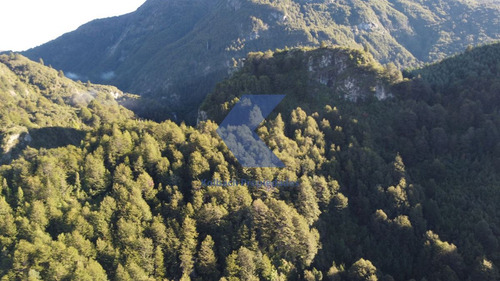 Hermoso Terreno Con Río En Venta En Futalefu