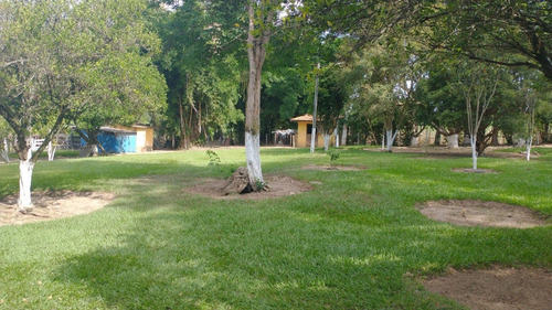 Imagem 9 de 30 de Chácara 15mil M2, Rica Em Água Com Nascentes, Tanque Com Peixes E Rio, Casa Sede Com 3 Dormitórios /1suíte, Casa Caseiro, Canil, Baia, Pomar, Piscina - Ch00253 - 70809480