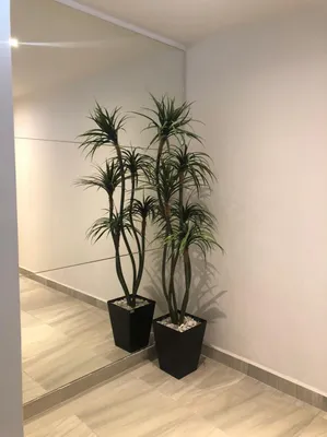 Edificio en venta
