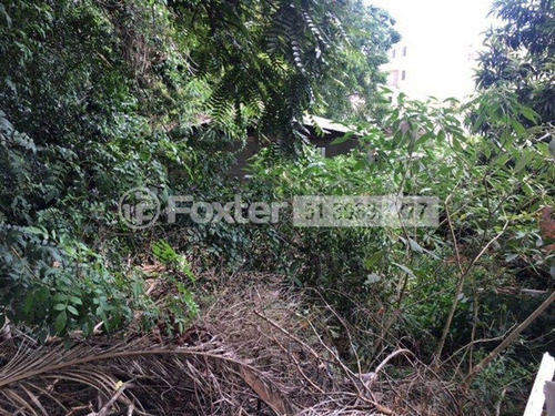 Imagem 4 de 8 de Terreno, 550 M², Vila Ipiranga - 205028